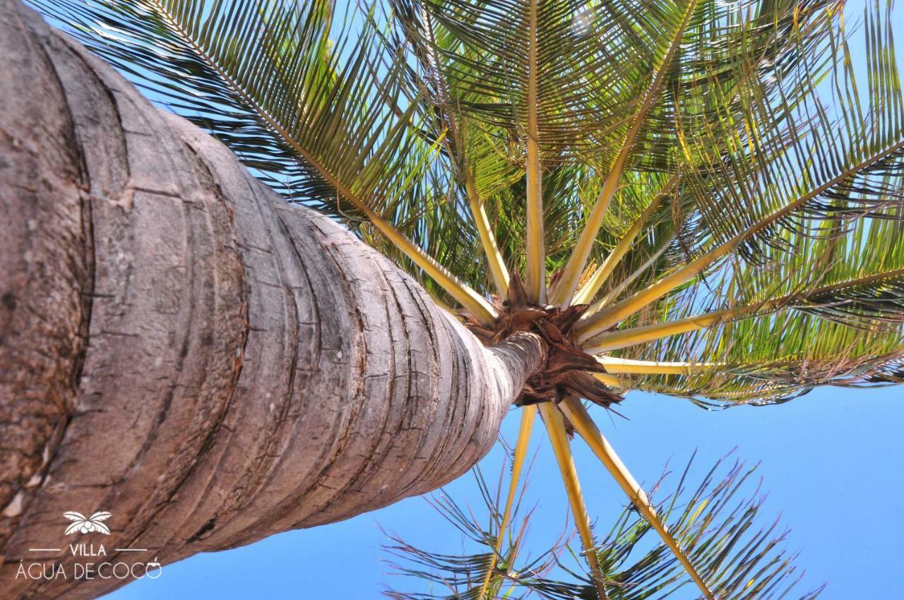 Villa Agua De Coco Jijoca de Jericoacoara Bagian luar foto